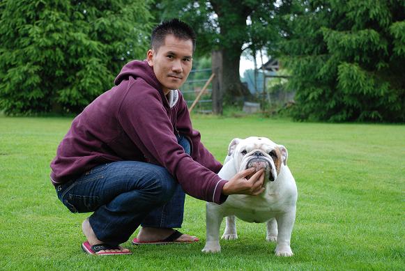 Publication : des Rob and son bulls Auteur : Nguyen Dinh