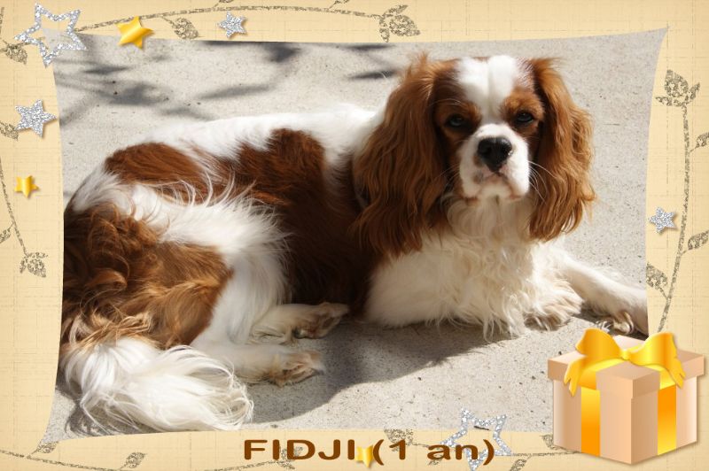 Publication : de Phégye-Ling