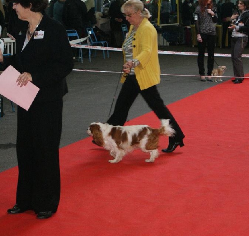 Fidji ONITSHA'S - TRES BON