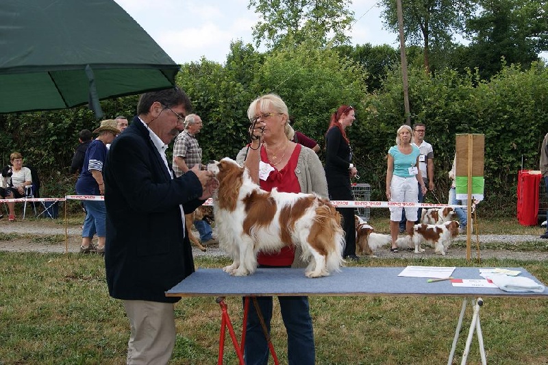 Fidji ONITSHA'S - TRES BON classement 1ère