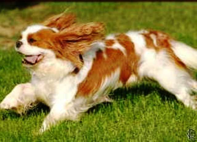 Publication : Du clos de larpege