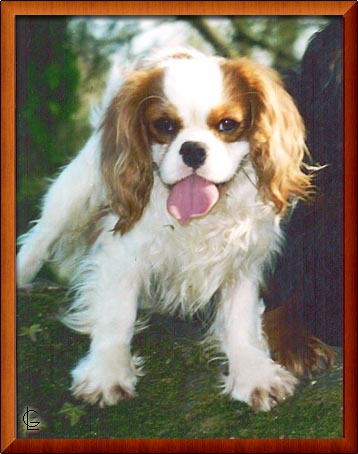 Publication : Du clos de larpege