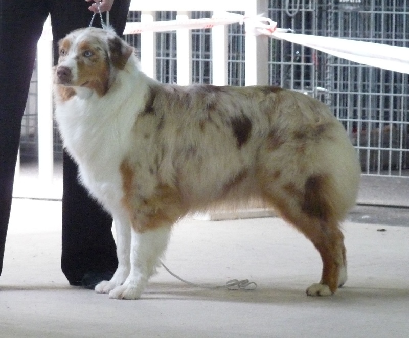 Publication : de Vaumarloups Auteur : dornat