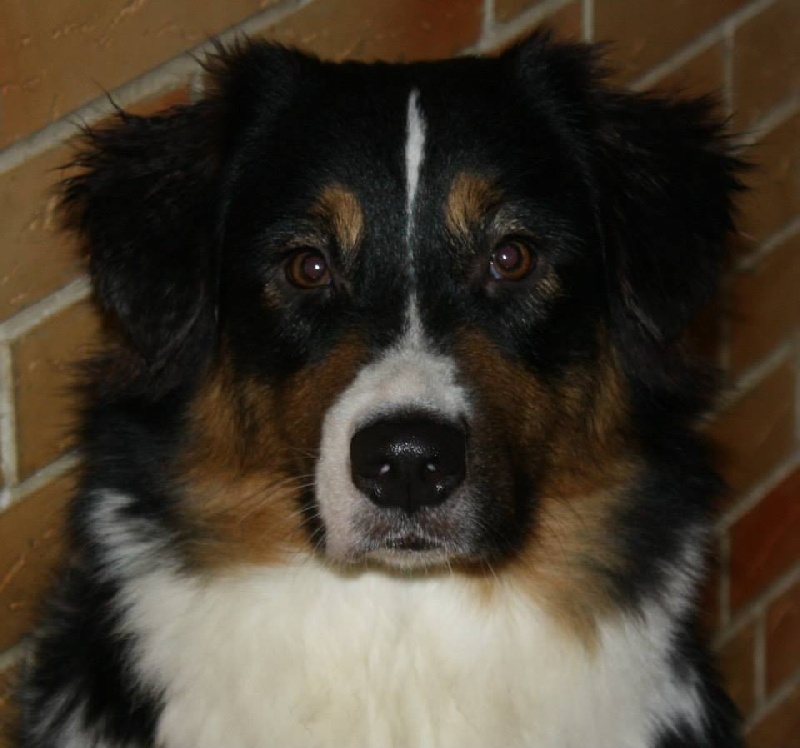 Gimme a kiss de Vaumarloups