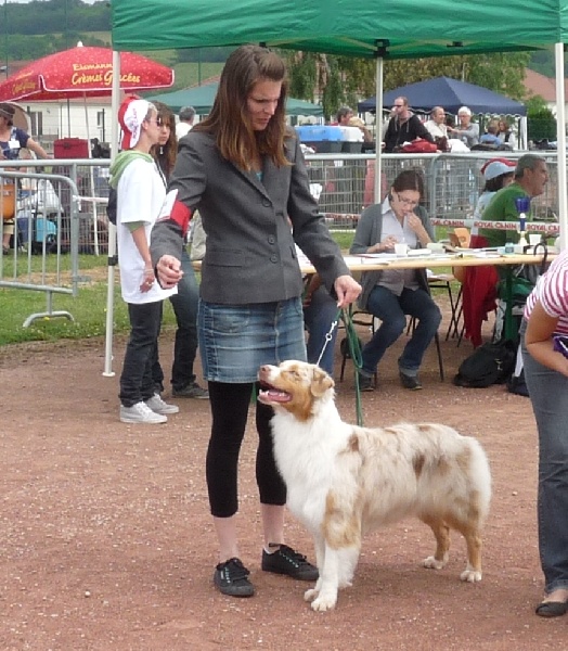 Publication : de Vaumarloups Auteur : dornat