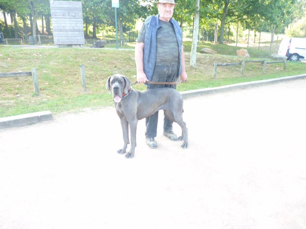 Rozea bleue dea des Glaciers Charmants - 1EX JEUNE /JEUNE CHAMPIONNE DE FRANCE EN COUR D HOMOLOGATION