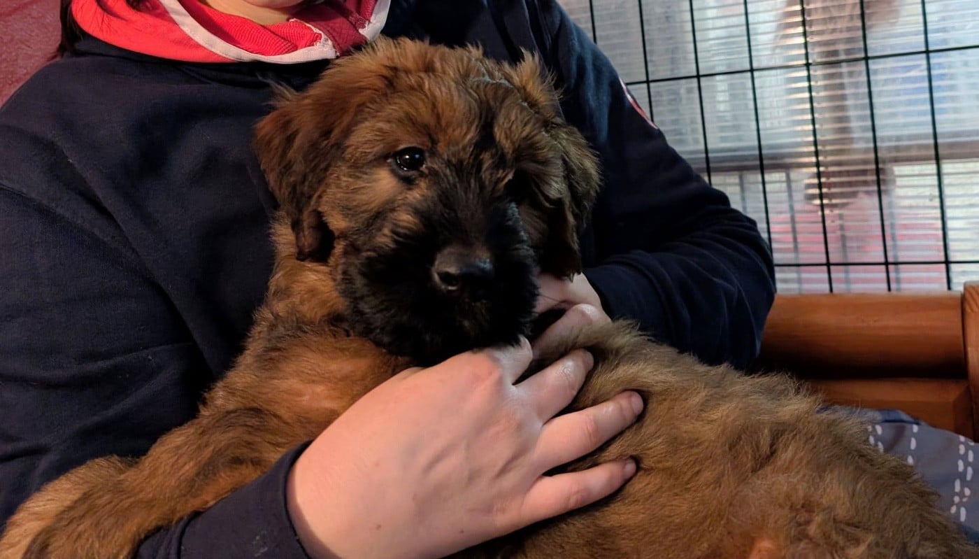 ABIGAIL BILOURAID du Jardin aux Eglantines