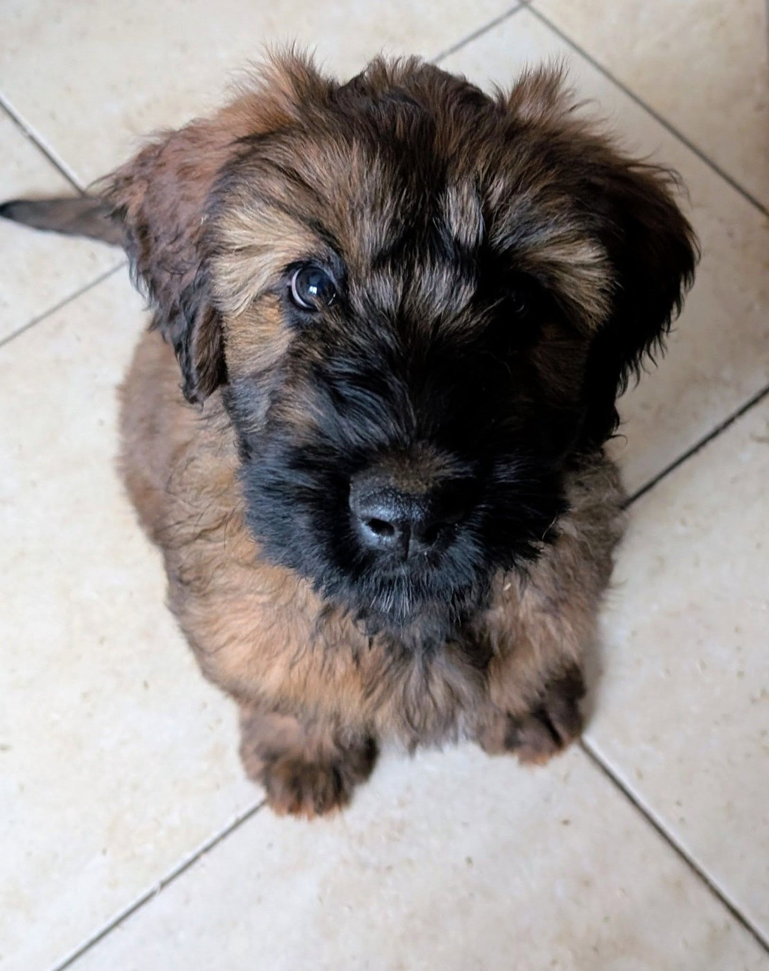 AXL RAID du Jardin aux Eglantines