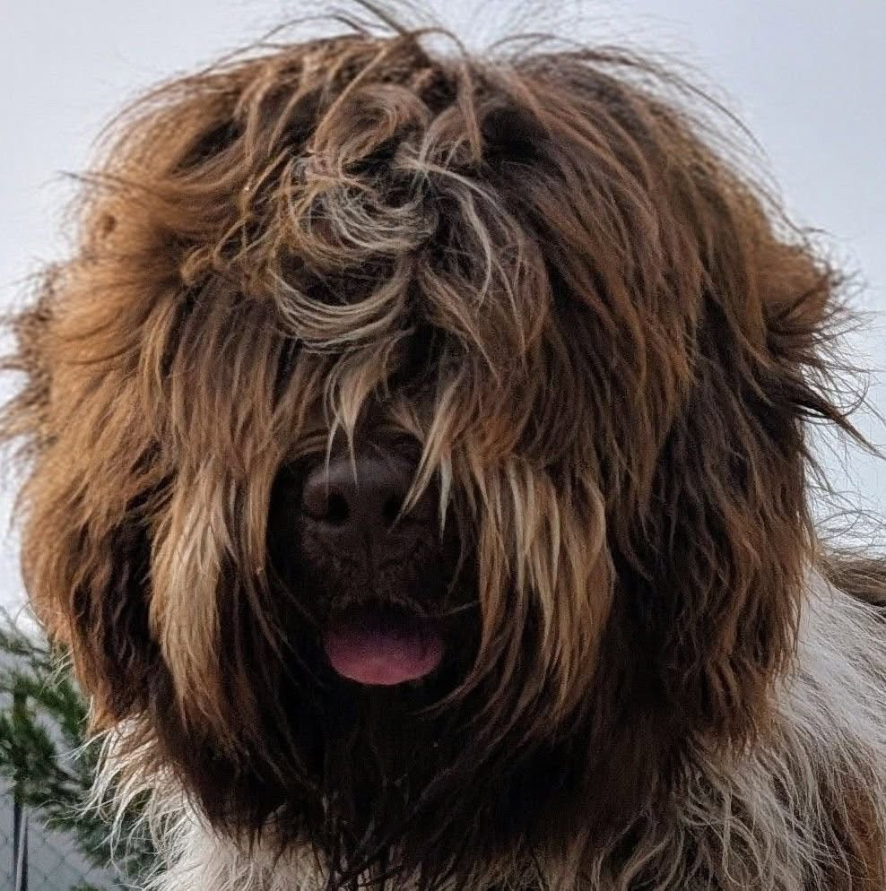 Publication : du Jardin aux Eglantines Auteur : FEIDT WEYLAND NATALIE