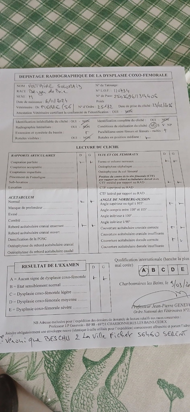 Voltaire soloraid du Jardin aux Eglantines