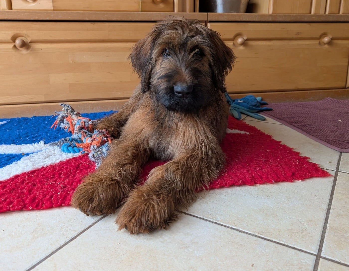 AXL RAID du Jardin aux Eglantines