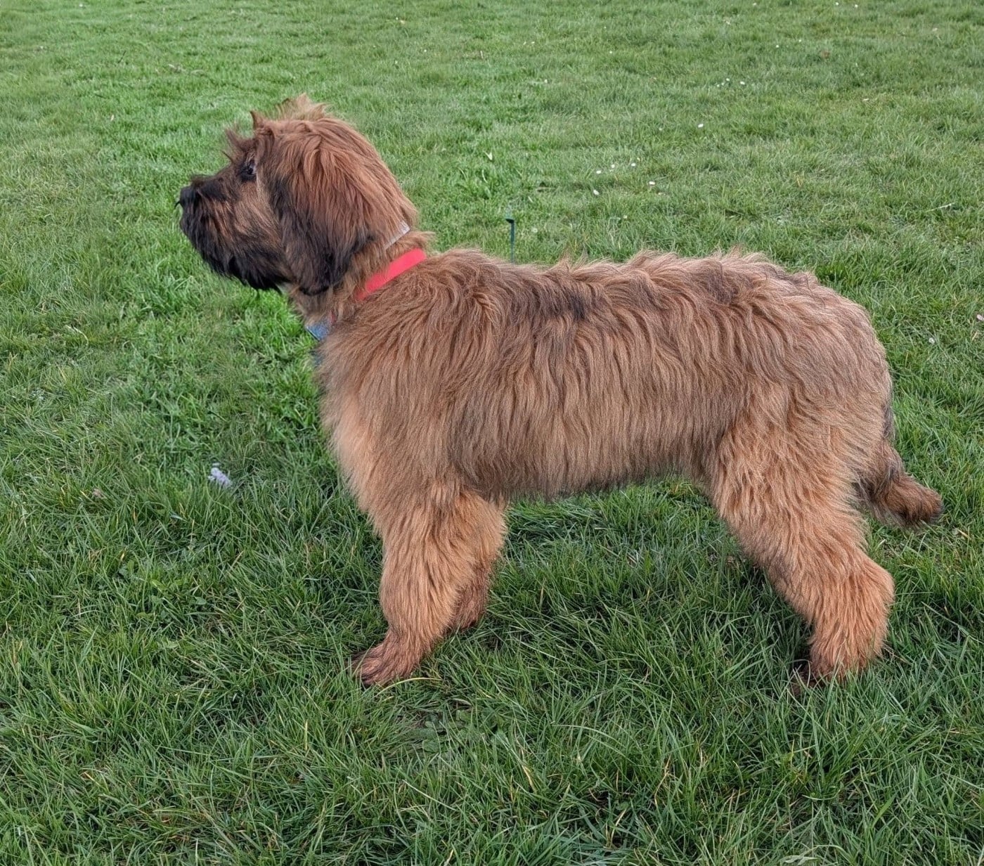 AXL RAID du Jardin aux Eglantines