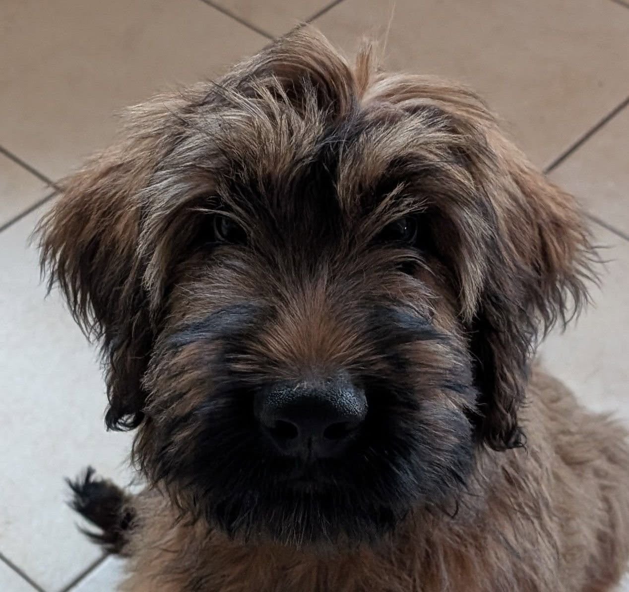 AXL RAID du Jardin aux Eglantines