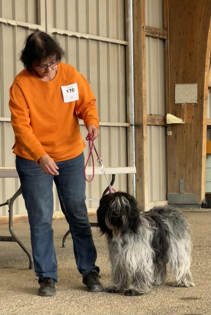 CH. Chfj - cot 4- thess Des Loustics De Pen Ar Bed