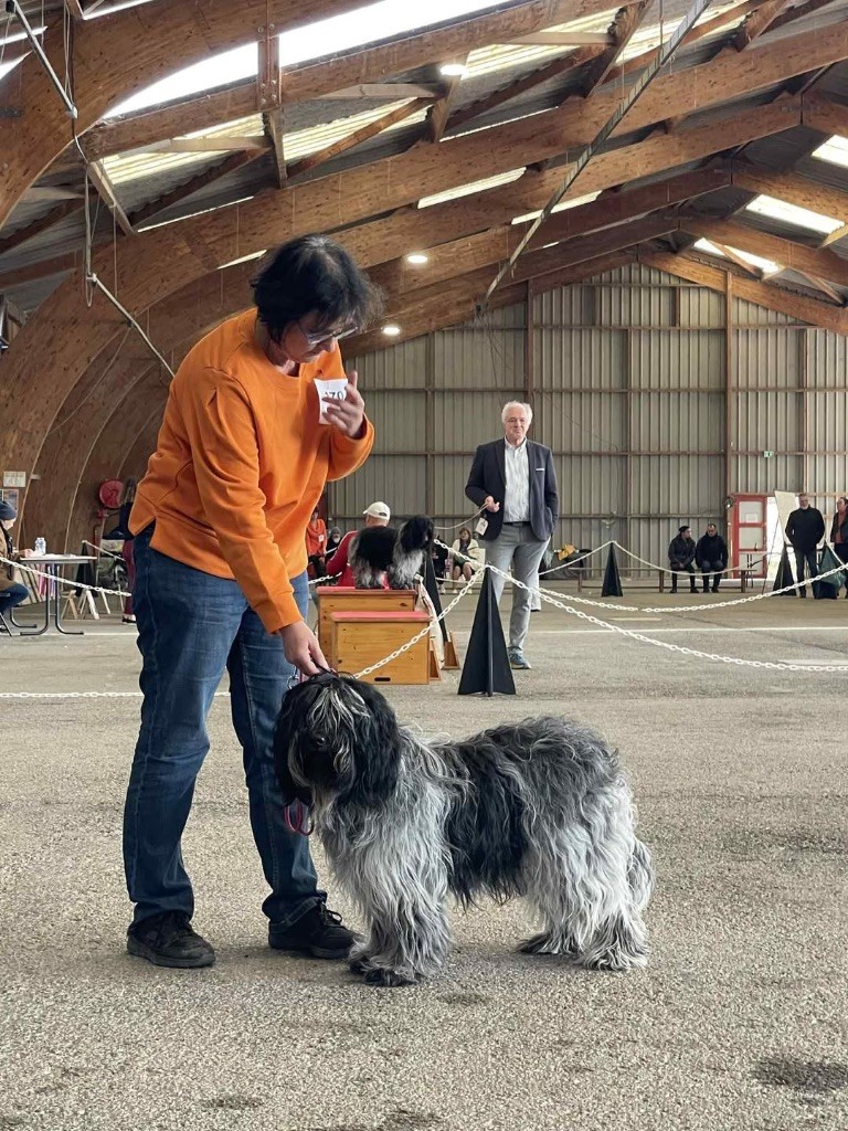 CH. Chfj - cot 4- thess Des Loustics De Pen Ar Bed