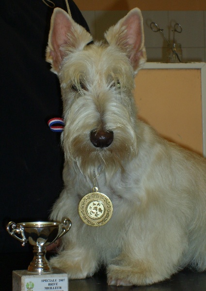 Publication : du Clan des Petits Colonels Auteur : Pascaline Vivien