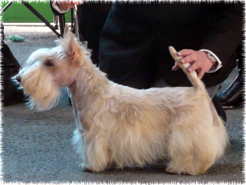 Kinloch Belphegor - 3eme Exc COF