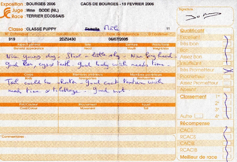 Allyxan milky way dit arod du Pays des Lylows - Trés Prometteur CP