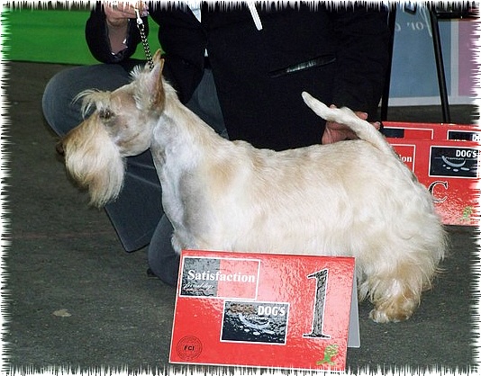 Allyxan milky way dit arod du Pays des Lylows - RCACIB & RCACS - 1eme Exc COM