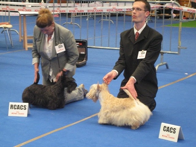 Caïla du Loch D'Ergué - 2Exc COF - RCACS -