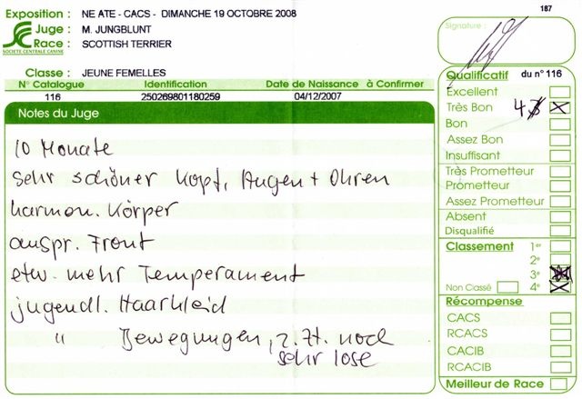 Caïla du Loch D'Ergué - 4eme Trés Bon CJF