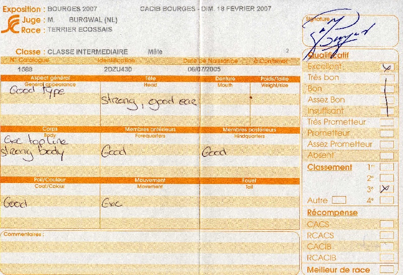 Allyxan milky way dit arod du Pays des Lylows - 3e Excellent CI