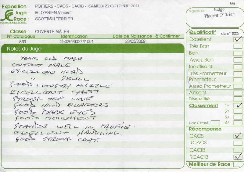 CH. Empire maker dit e'boy du Loch D'Ergué - 1er Exc COM - CACS - RCACIB