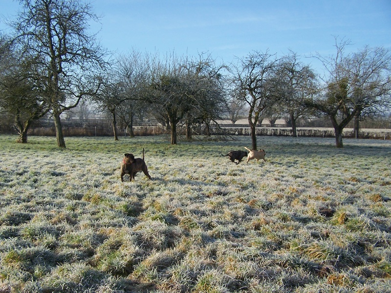 Publication : de Thommassy Auteur : madame bordes