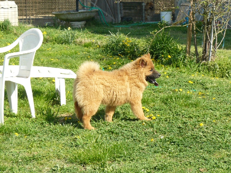 Grace of the Nordic Dream