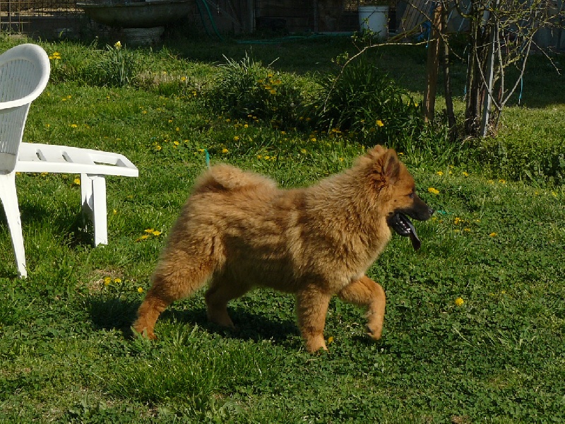 Grace of the Nordic Dream