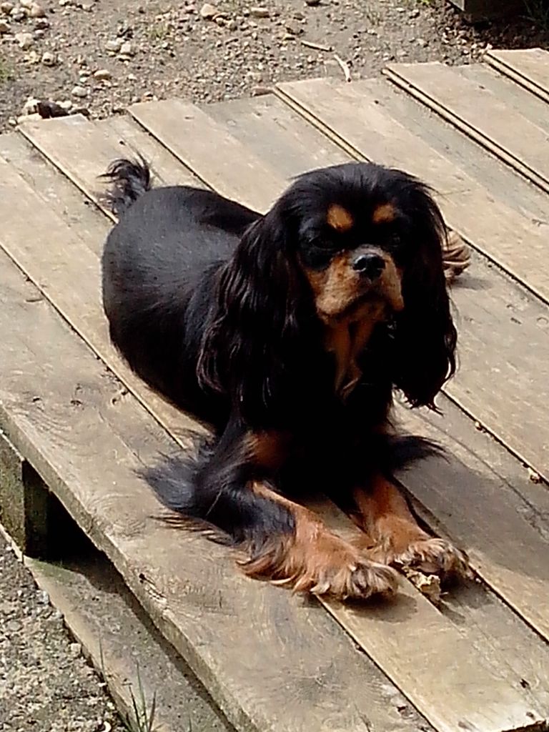 Malonga du val de la Ferrite