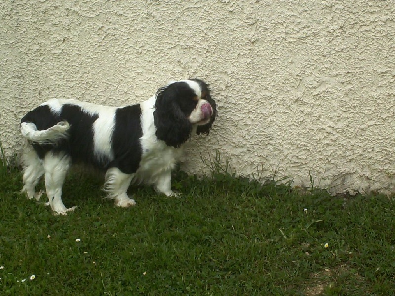 Gerry du val de la Ferrite