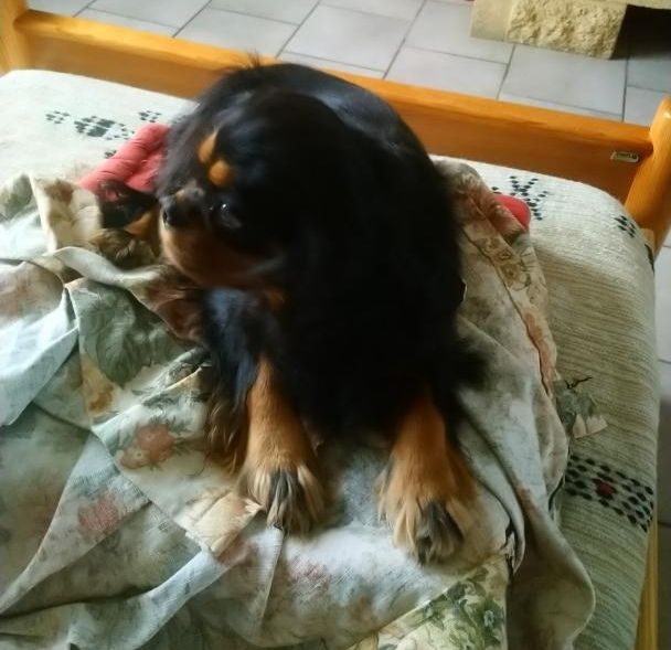 Malonga du val de la Ferrite