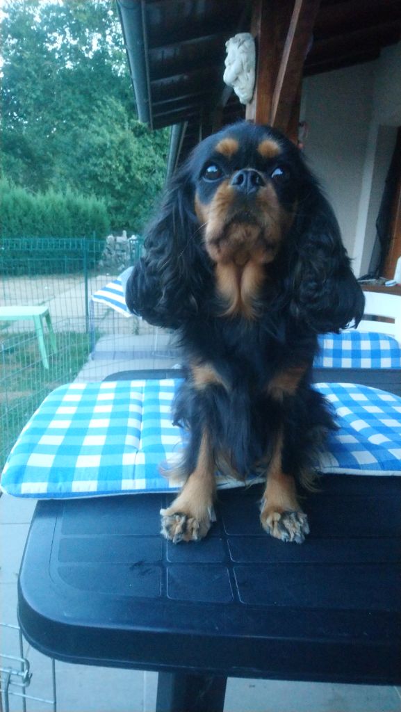 Malonga du val de la Ferrite