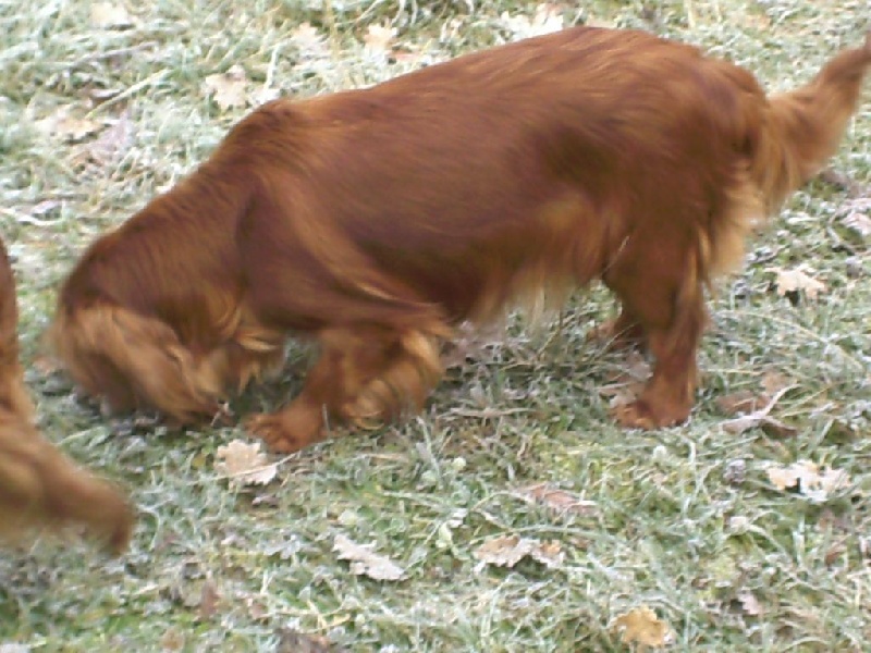 Publication : Du puits des sortileges Auteur : castagné christiane