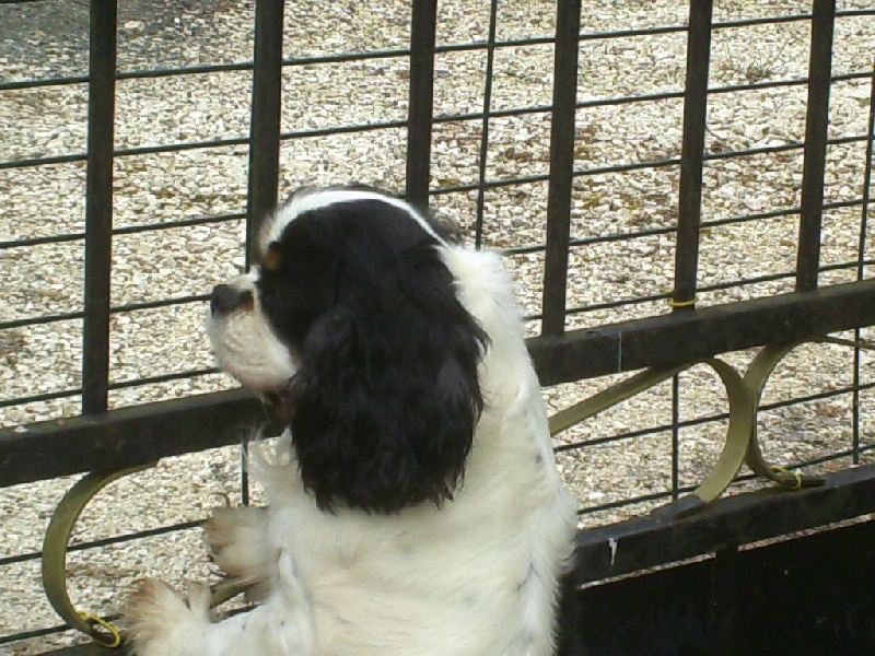 Gerry du val de la Ferrite