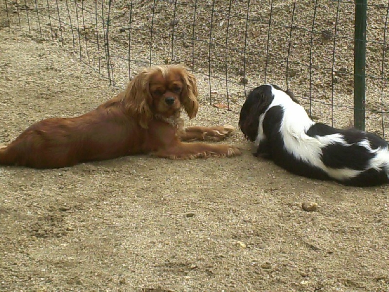 Publication : Du puits des sortileges Auteur : castagné christiane