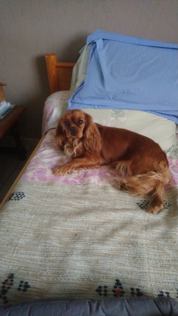 Pee -wee du val de la Ferrite