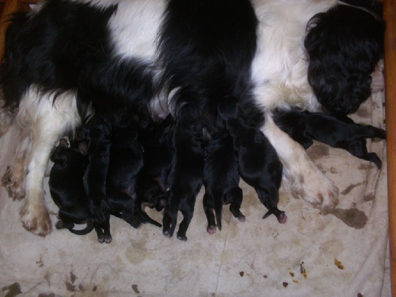 Gerry du val de la Ferrite