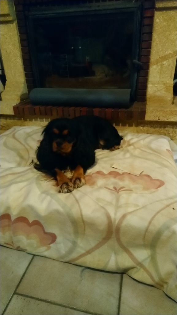 Malonga du val de la Ferrite