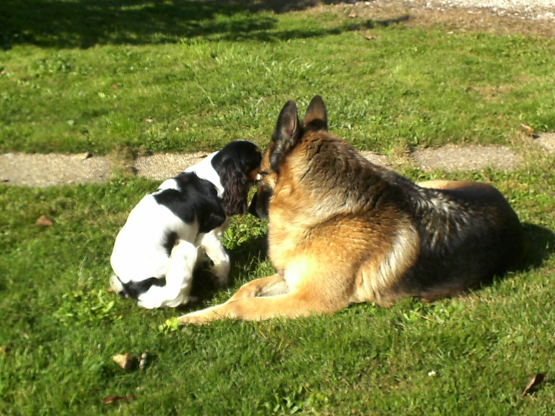 Athalie du val de la Ferrite