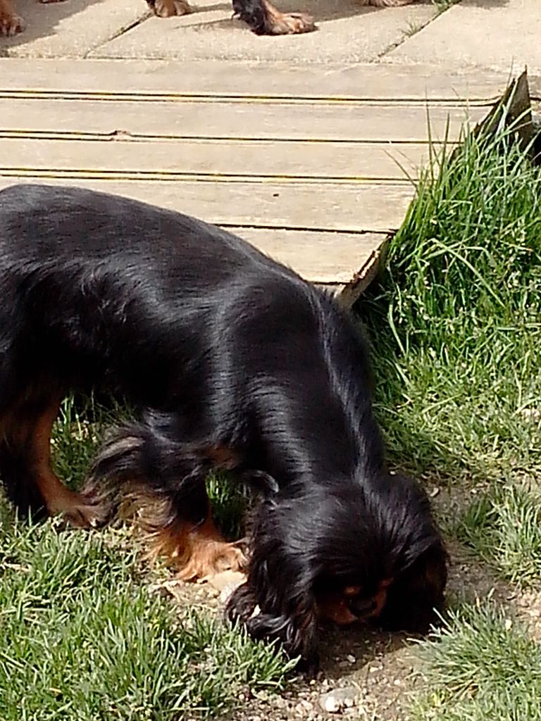 Malonga du val de la Ferrite