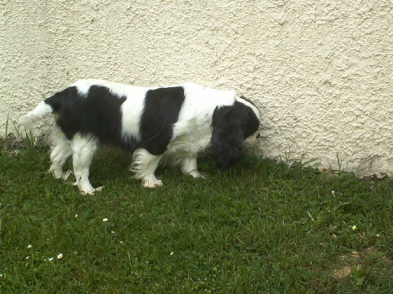 Gerry du val de la Ferrite