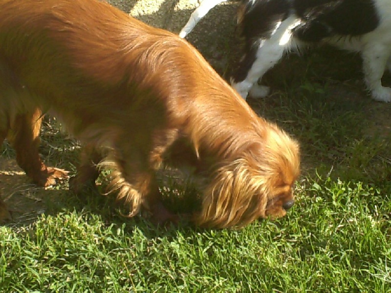 Publication : Du puits des sortileges Auteur : castagné christiane