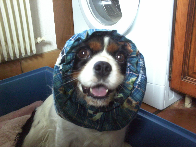 Athalie du val de la Ferrite