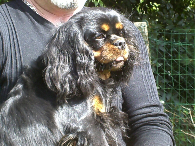 Everly du val de la Ferrite