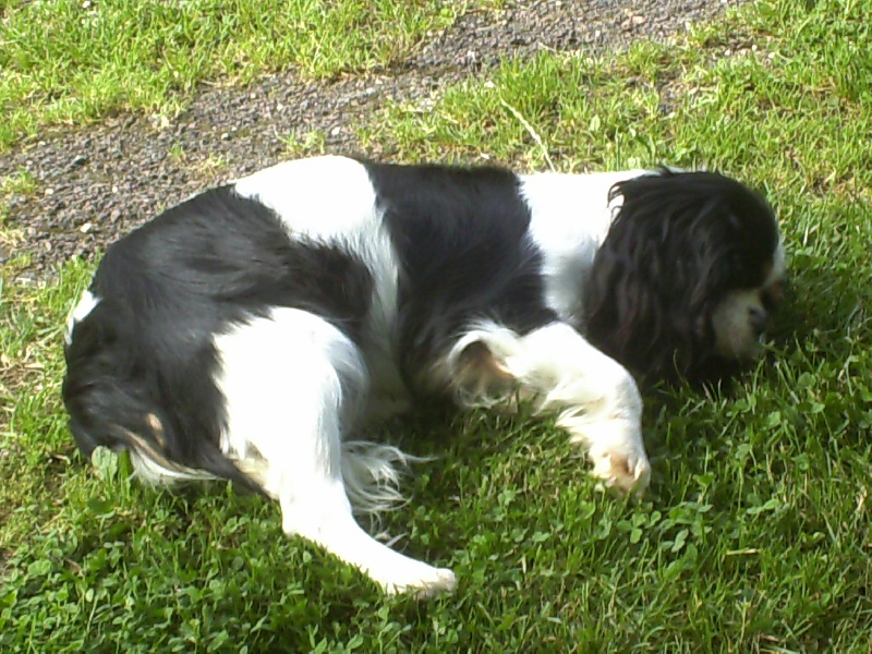 Gerry du val de la Ferrite