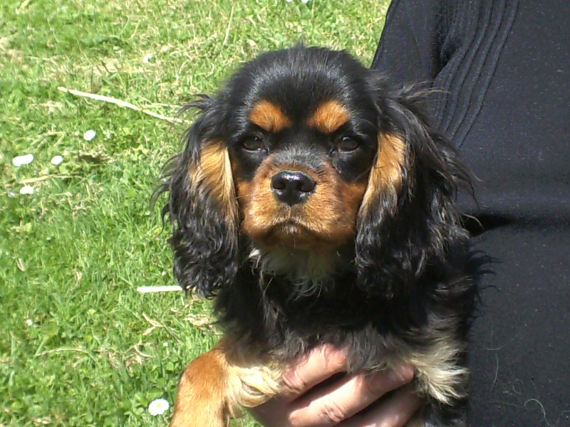 Everly du val de la Ferrite