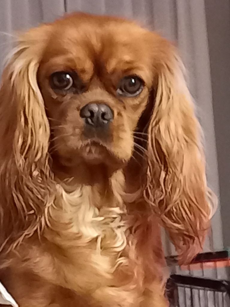 Pee -wee du val de la Ferrite