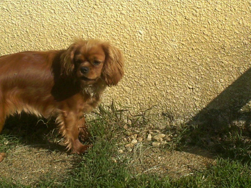 Publication : Du puits des sortileges Auteur : castagné christiane